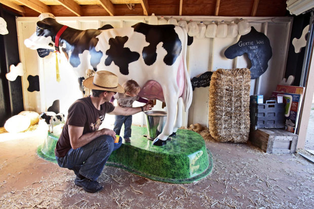 Family Fun on the Farm Fridays gives a taste of milking, picking